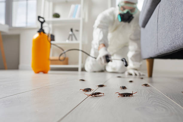 Trusted Termite Control service in Glenmont, MD - Nex Pest Control